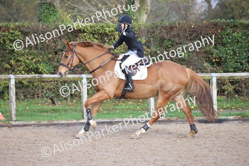 20251116-0484 - Class 3 - 80cm