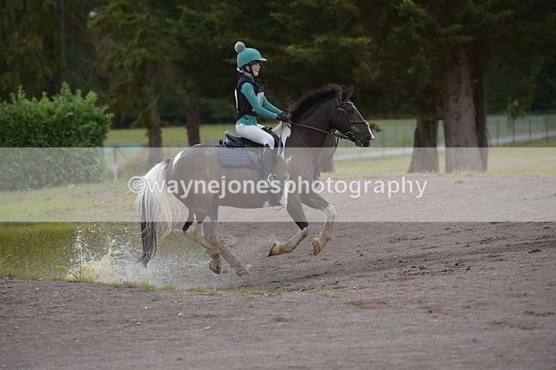 NGP_2729 - XC Time 11:37 to 11:57