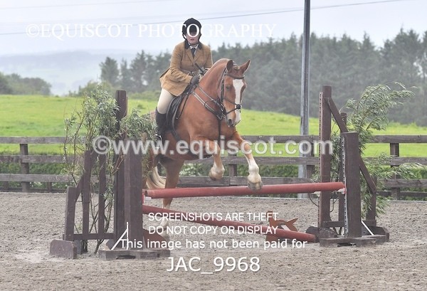 JAC_9968 - CLASS 3 Intermediate Working Hunter (0.70m - 0.85m)