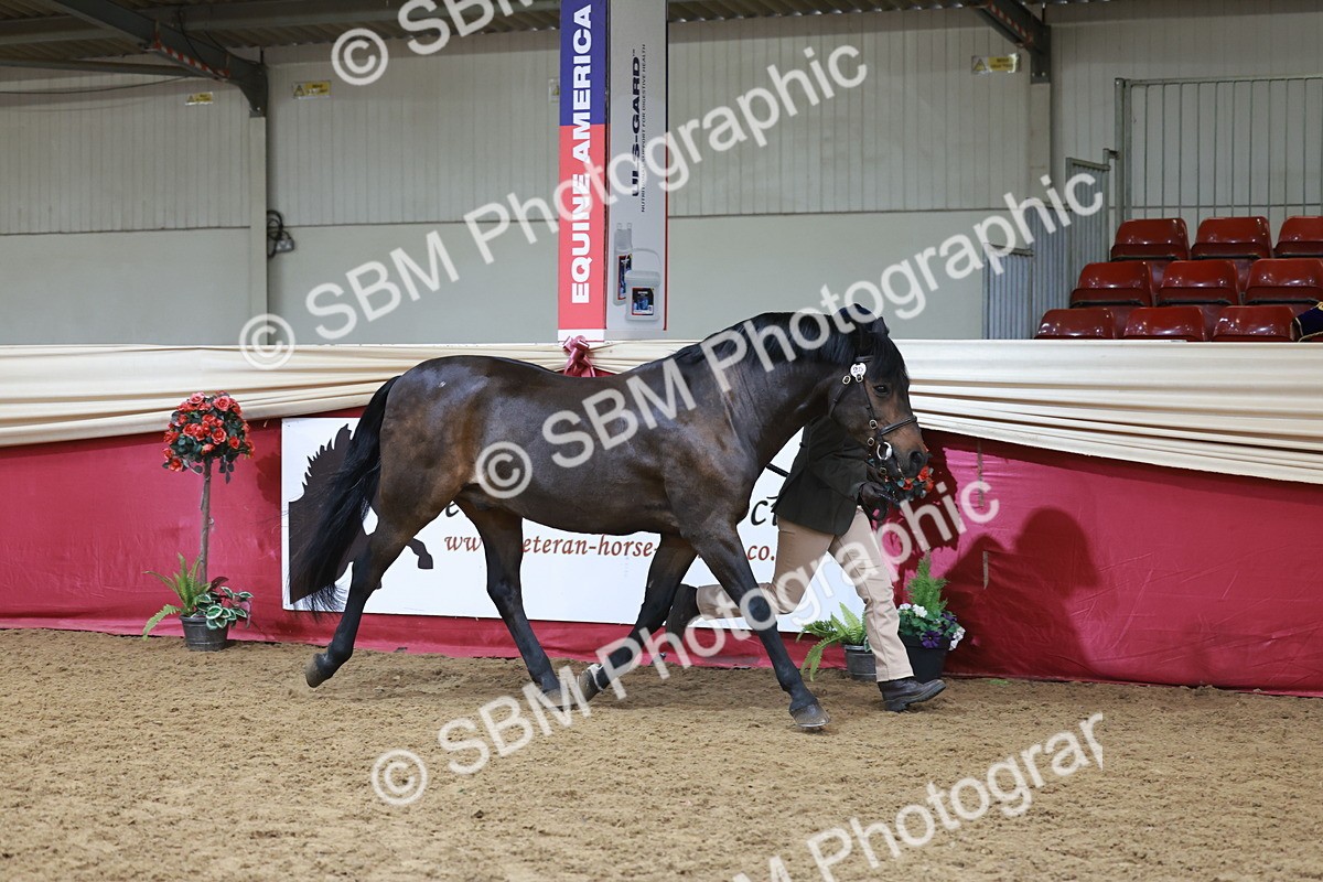 SBM_17420_Class 951 - MM IH  Supreme Final - Julie Moxon