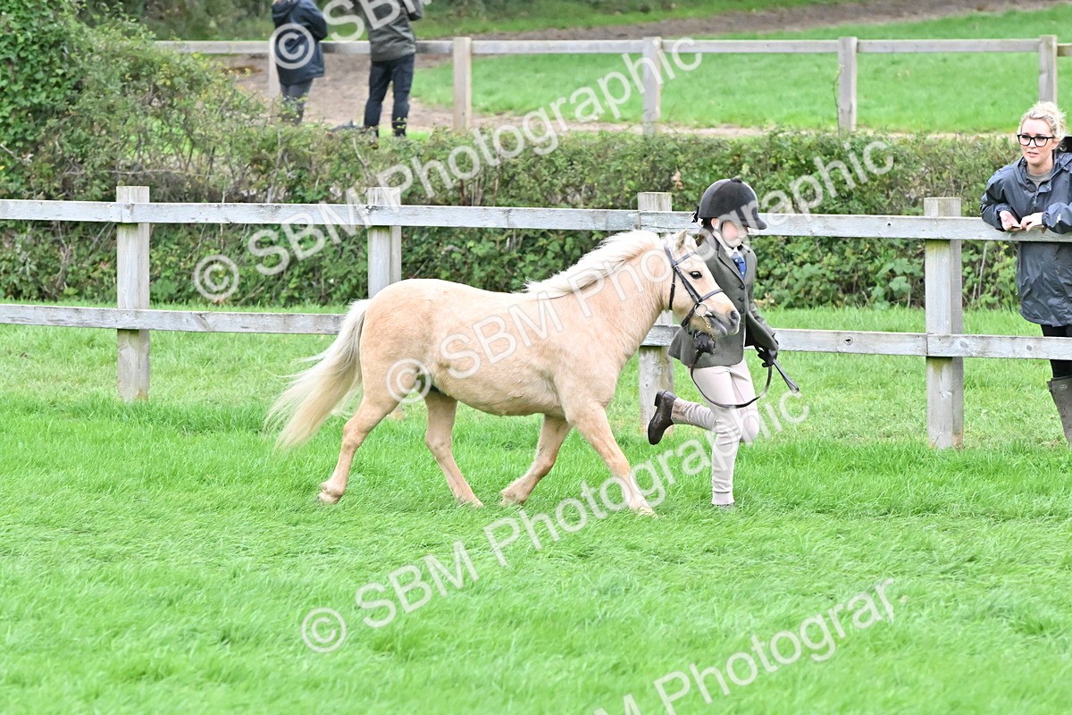 SBM_68578 - S42 - Junior Handler 9-12 Years