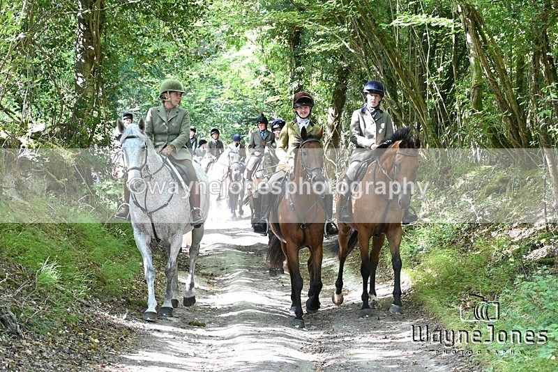 WJ7_0399 - Berks & Bucks - Hound Exercise – Kennels 06-09-26