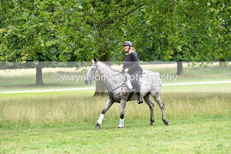 WJ5_0743 - Time at Jump 11:31 to 12:19