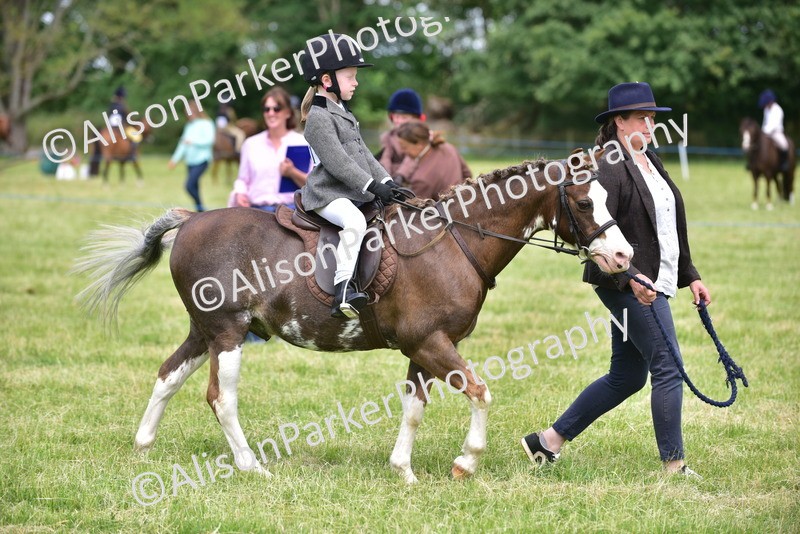 20260614-1400 - Class 11b - Lead Rein Pony (Plaited)