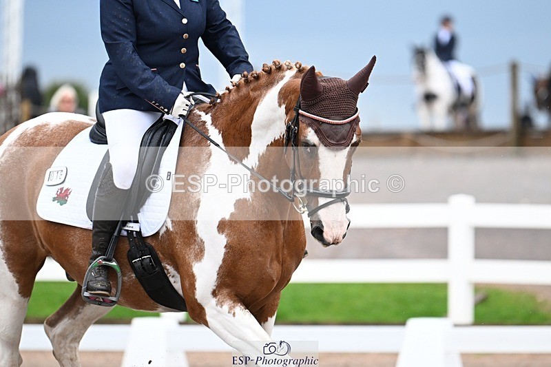 250907-103757-06928 - 016-Sarah.canningJohnny.Knoxville