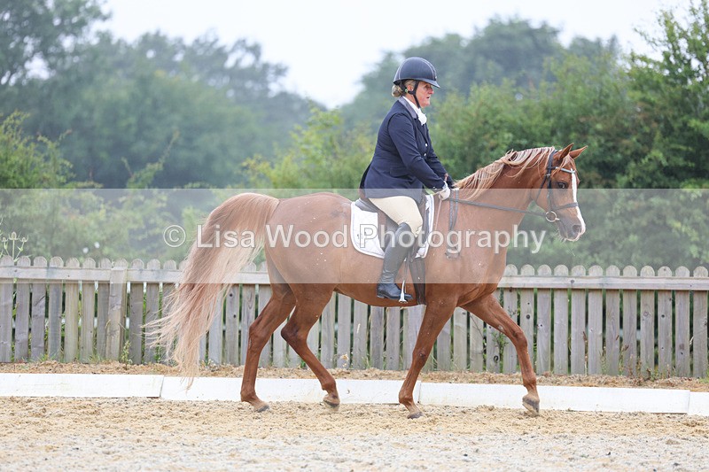 3E7A8263 - Class 2: Intro 3 2024 section B