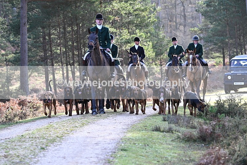 WJ7_7654 - Line 3 (no line 4 or 5)