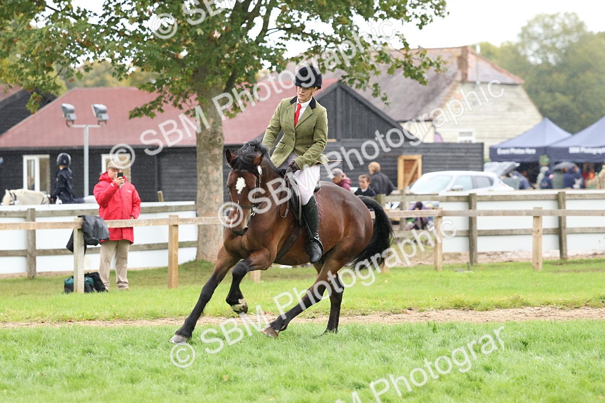 SBM_69666 - S62 - Mountain & Moorland Ridden Large Breeds