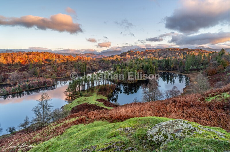 Tarn Hows - Lake District