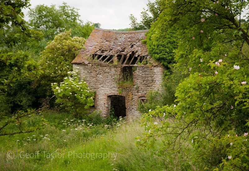 Ball Stone Quarry - Wenlock Edge
