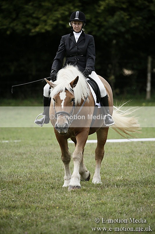 BVR080918 139 - BVRC Novice Dressage & CR 08/09/18