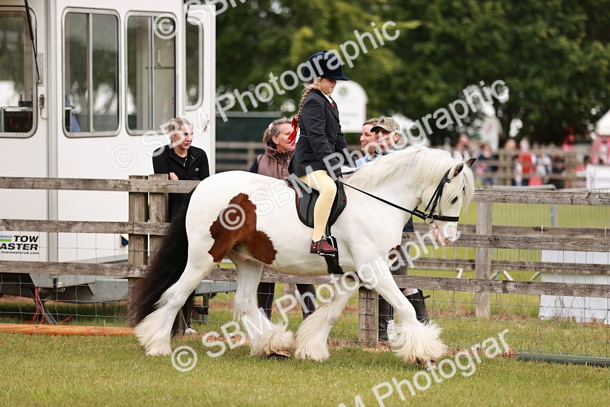 SBM_06115 - Class 39-41 TGCA In Hand and Ridden