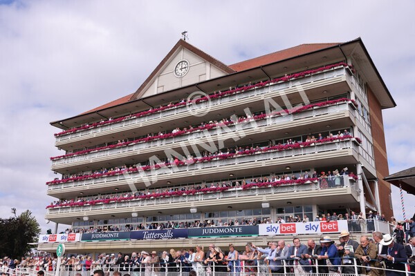 yr17082022r3-15 - Race 3 3.00pm Sky Bet Great Voltigeur Stakes