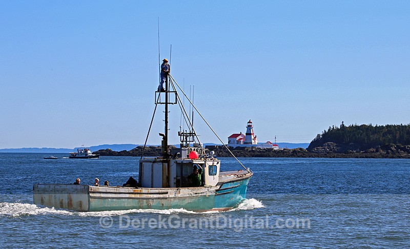 Whale Watching off Campobello Island - Boats
