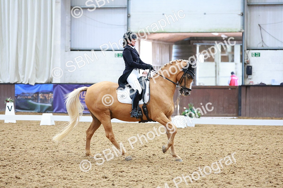 SBM_021319 - Class 25 - FEI PSG Bronze