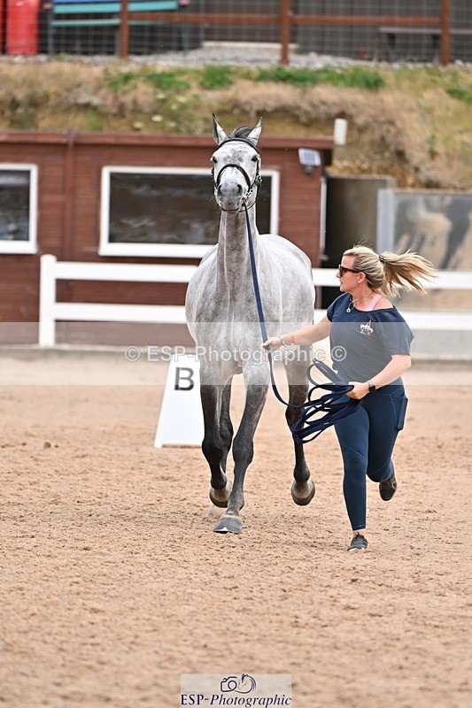 250716-135812-00822 - Trot Up 1.30 to 2.30