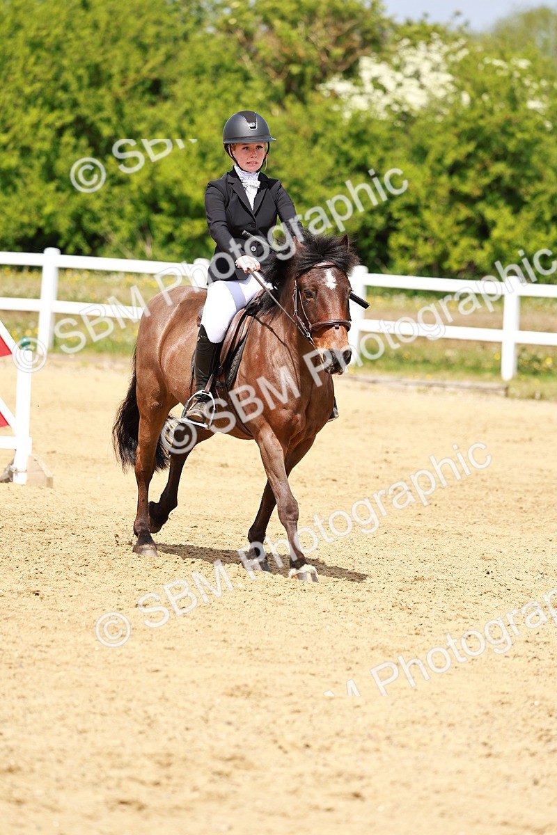 SBM_007949 - Class 3 - 60cm