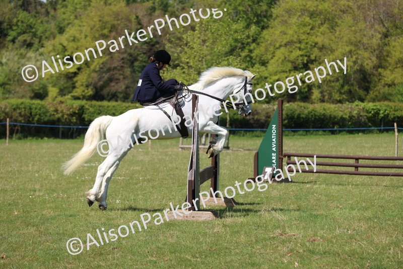 20250427-2544 - Class 20 - Working Hunter Ponies