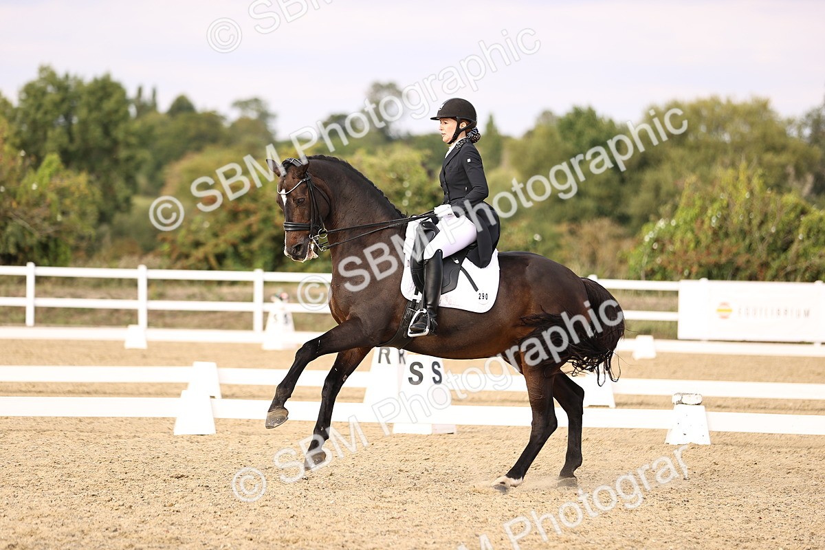 SBM_015559 - Class 11 - FEI PSG