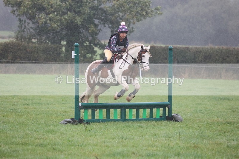 JPP_5021 - Class 1: 65cm : Showjumping