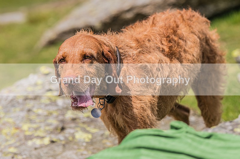 Duddon Short-632 - Duddon Valley Short Fell Race Saturday 1st June 2024