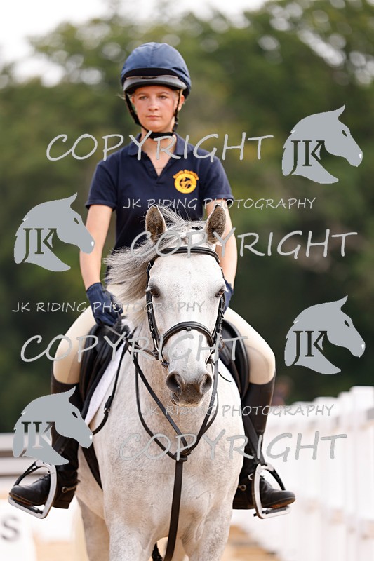 _R6A2700 - Dressage Morning