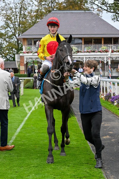 101025-Race 5-Go Vince Go-0441 - Race 5 Parsonage Hotel And Cloisters Spa Nursery Handicap at York