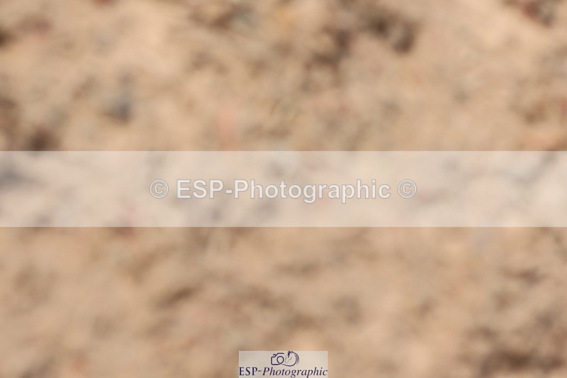 240629A-113852-04618 - Cls 17 Discovery and 90cm Open