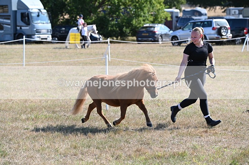 WJ6_7272 - Class 33 Rescue Pony