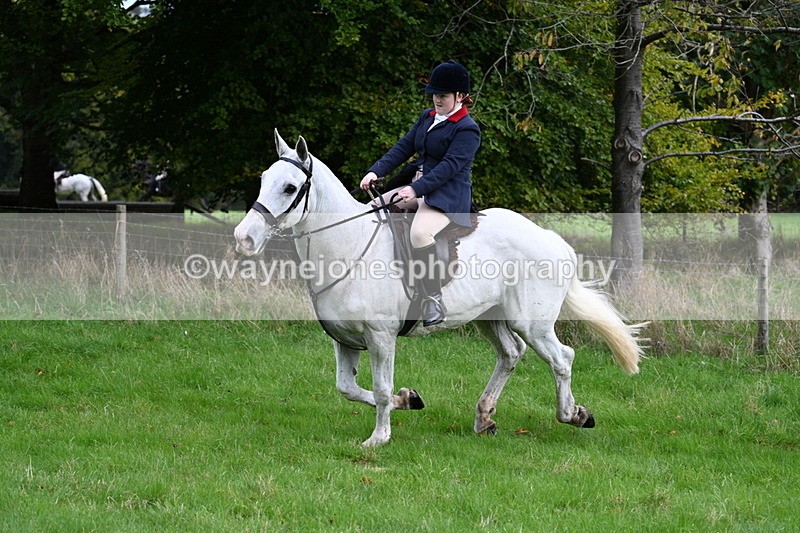 WJ7_4703 - Camera 1 Line 3