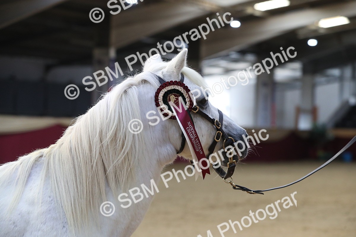 SBM_00340 - Class 1a - Area IH Diamond