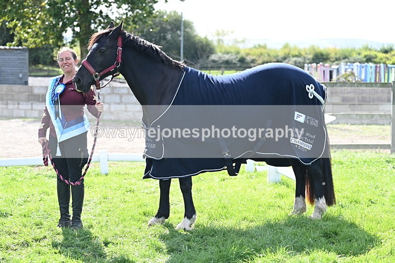 WJ7_1735 - 80cm Champs