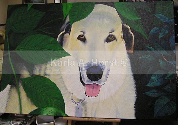 Buster in progress - Pet Portraits
