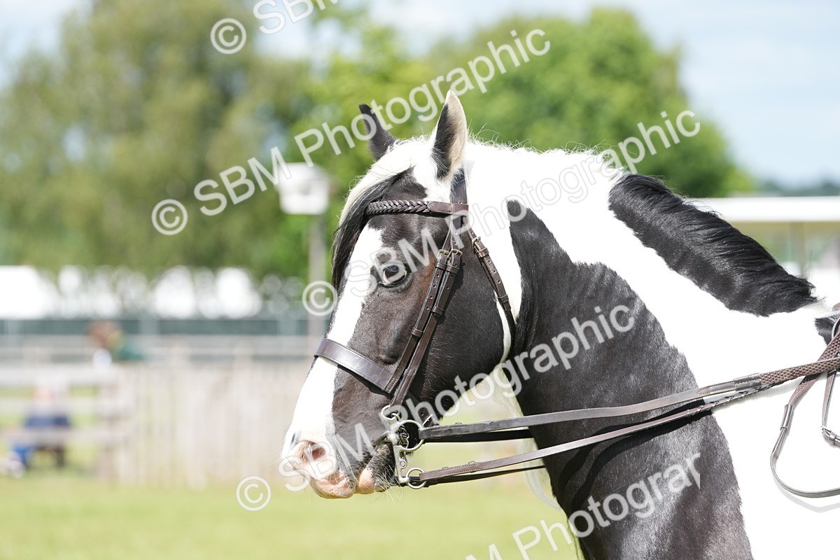 SBM_17266 - Class 107-108 - LIHS BSPS Performance Coloured Horse Pony
