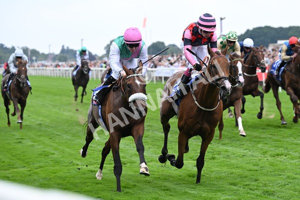 230825-042 Tarriance - Race 2 2.25pm Sky Bet Melrose Handicap