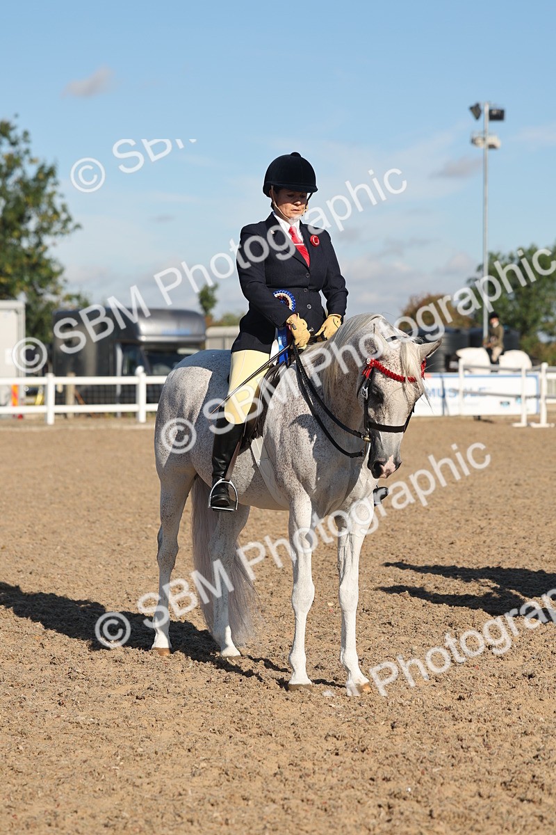 SBM_12248 - Class 303 - Ridden Pure Bred Horse Pony