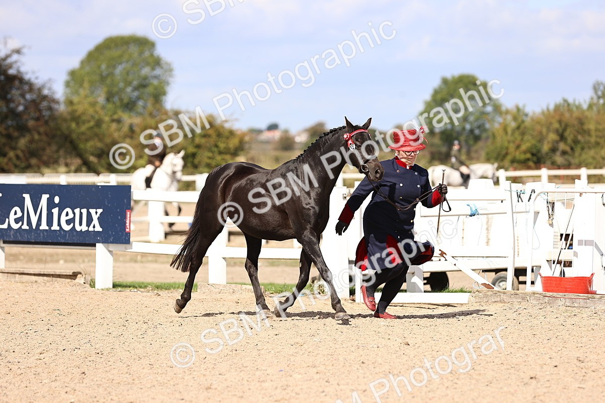 SBM_14244