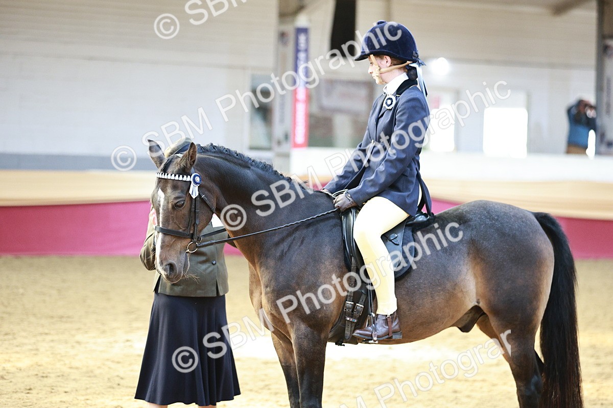 SBM_08282 - Class 11R - Regional Ridden Veteran