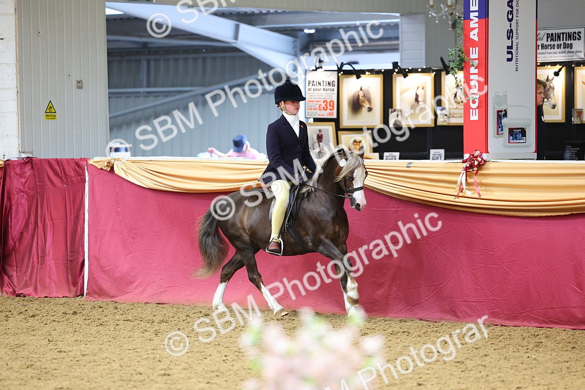 SBM_23500 - Class 904 - Supreme Final Ridden Diamond