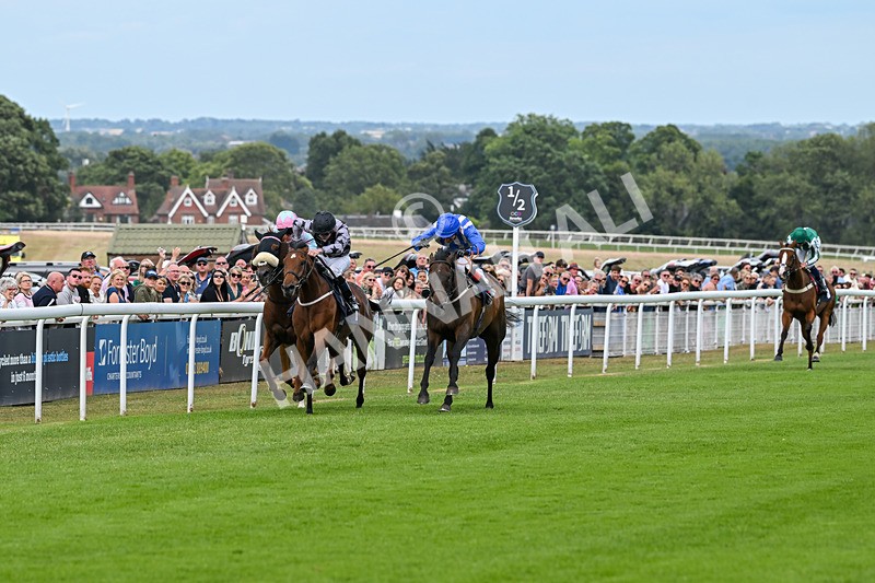 050725-Race 6-Dandys Angel-9227 - Race 6