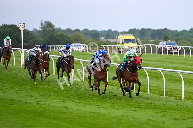 310524-Race 6-Mister Sox-9018 - Race 6