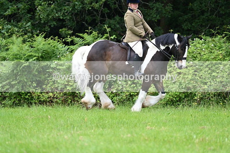 WJ7_2371 - Class 12A Coloured Class