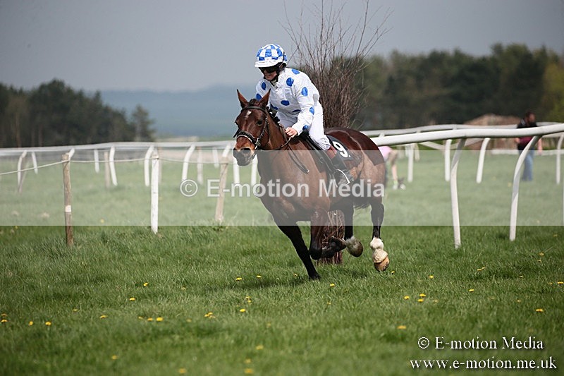 PtP 210418 48 - South & West Wilts Point-to-Point Larkhill 21/04/18