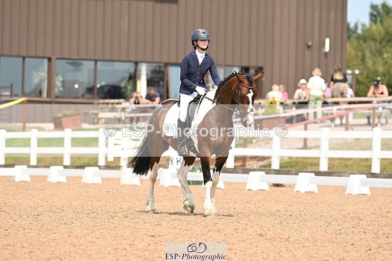 250816-140831-05021 - 050-Mollie.SheathTouch.Wood