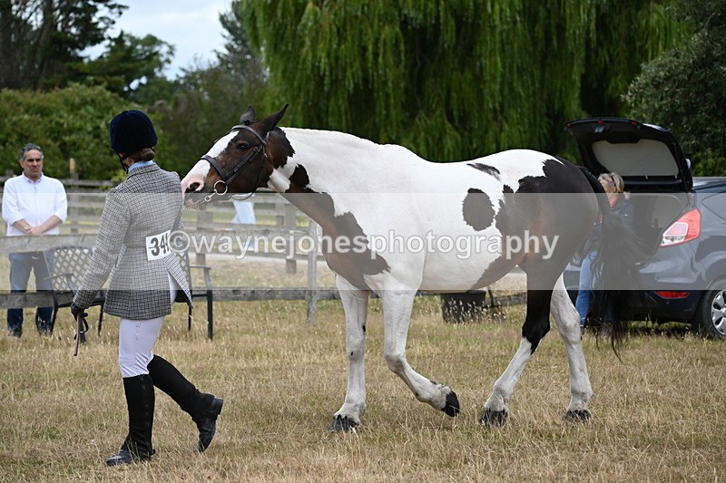 WJ6_8286 - Class 10 Coloured in Hand