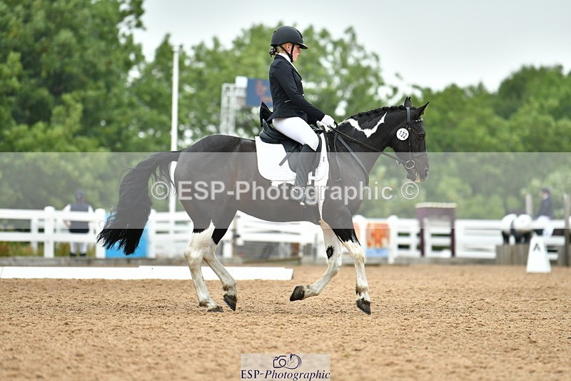 230708A-120002-02679 - Prelim 13