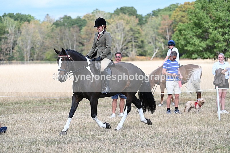 WJ7_6078 - Class 13 Ridden Veterans