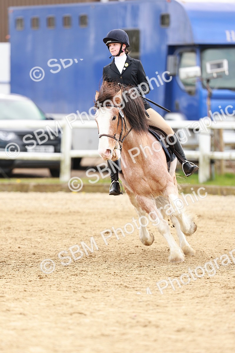 SBM_004191 - Class 3 - 60cm