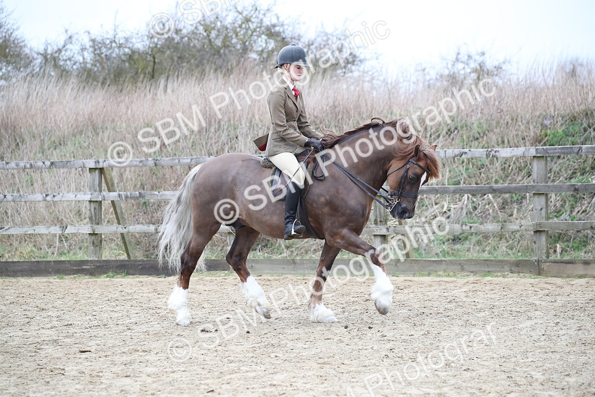 SBM_006302 - Class 10-13 - RIHS Small Large Breeds