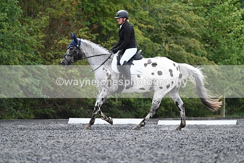 WJ7_7590 - Time 13:21 to 13:38